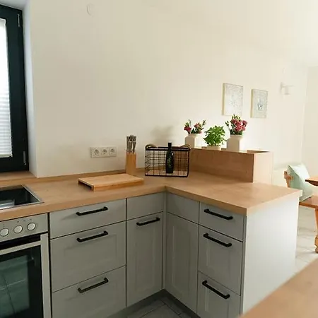 Berg'nsee Ferienhaus Ossiacher See Fritz By Seebnb 아파트 *